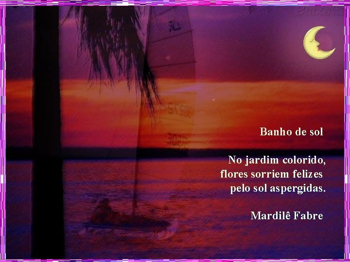 Banho de sol No jardim colorido, flores sorriem felizes pelo sol aspergidas. Mardilê Fabre