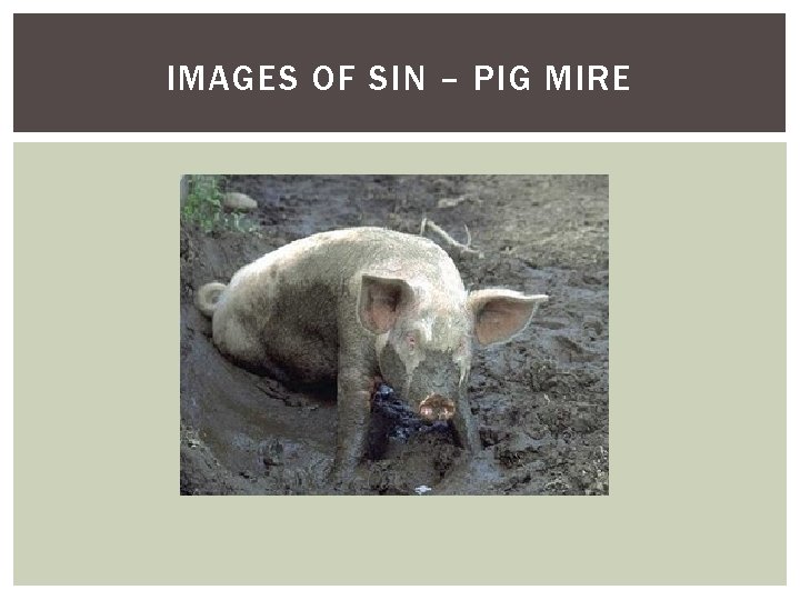 IMAGES OF SIN – PIG MIRE 