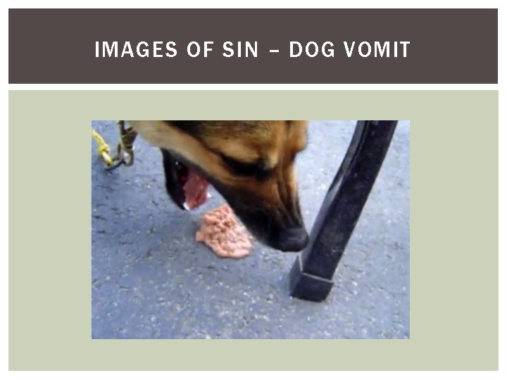 IMAGES OF SIN – DOG VOMIT 