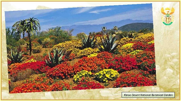 Karoo Desert National Botanical Garden 