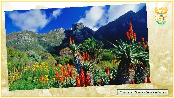 Kirstenbosch National Botanical Garden 