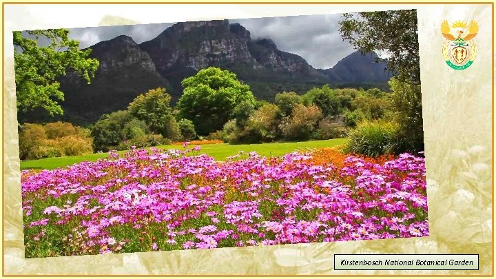 Kirstenbosch National Botanical Garden 