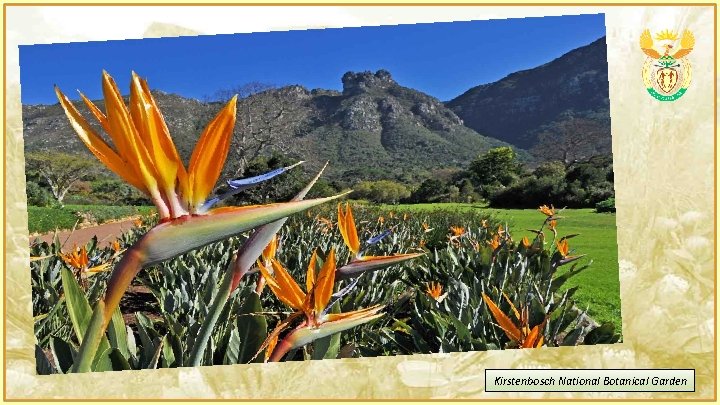 Kirstenbosch National Botanical Garden 