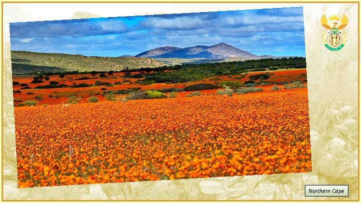 Northern Cape 