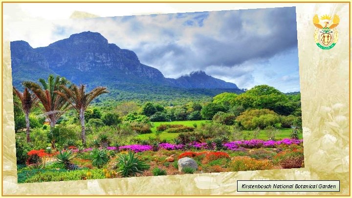 Kirstenbosch National Botanical Garden 