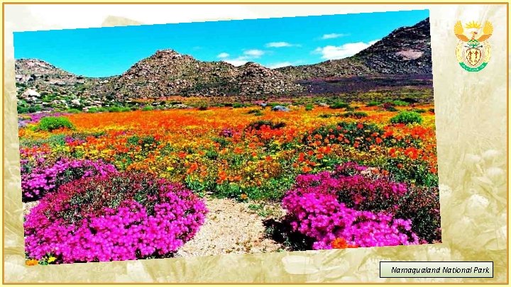 Namaqualand National Park 