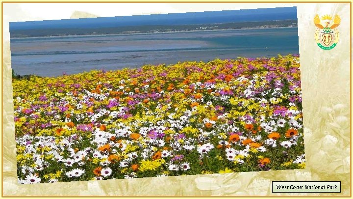 West Coast National Park 