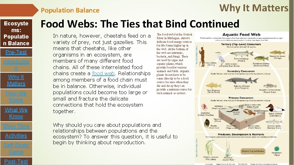 Why It Matters Population Balance Ecosyste ms: Populatio n Balance Pre-Test Introductio n Why
