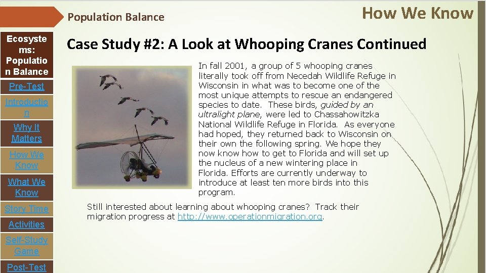 Population Balance Ecosyste ms: Populatio n Balance Pre-Test Introductio n Why It Matters How