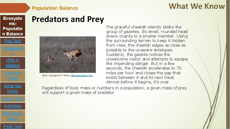 Population Balance Ecosyste ms: Populatio n Balance Predators and Prey Pre-Test Introductio n Why