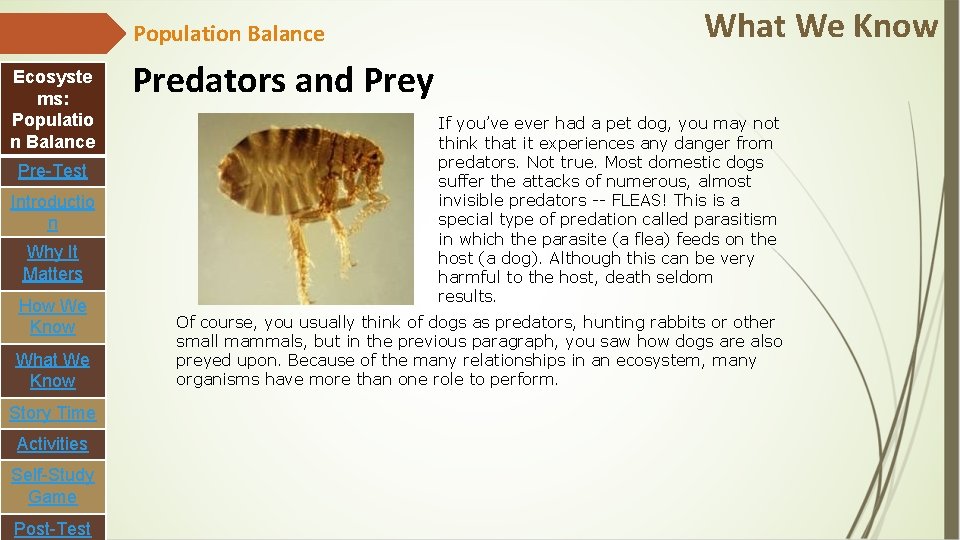 Population Balance Ecosyste ms: Populatio n Balance Pre-Test Introductio n Why It Matters How