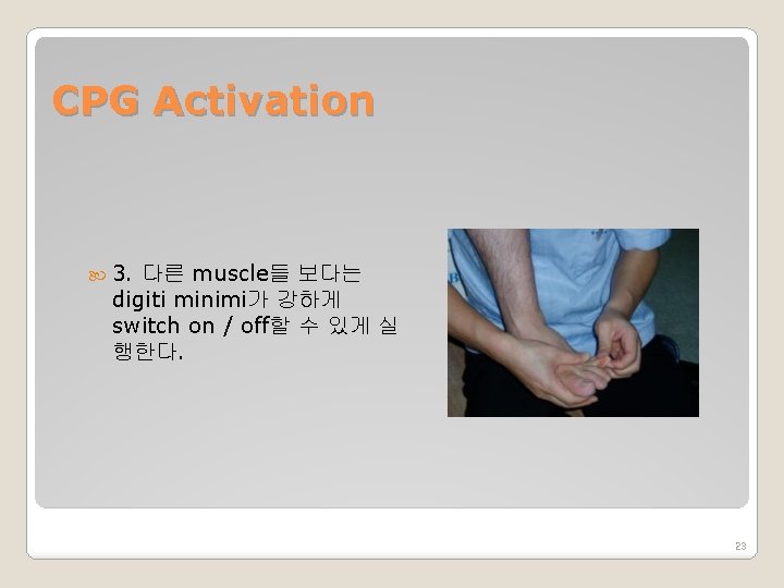 CPG Activation 3. 다른 muscle들 보다는 digiti minimi가 강하게 switch on / off할 수