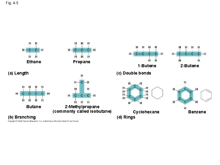 Fig. 4 -5 Ethane Propane (a) Length Butane (b) Branching 1 -Butene 2 -Butene
