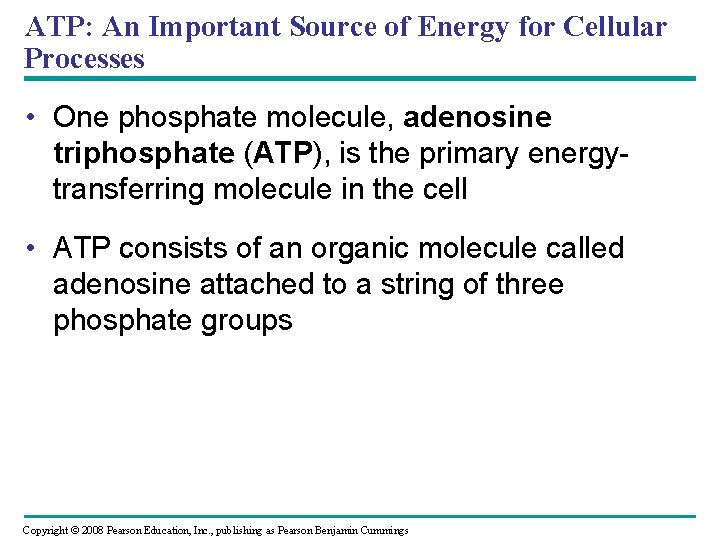 ATP: An Important Source of Energy for Cellular Processes • One phosphate molecule, adenosine