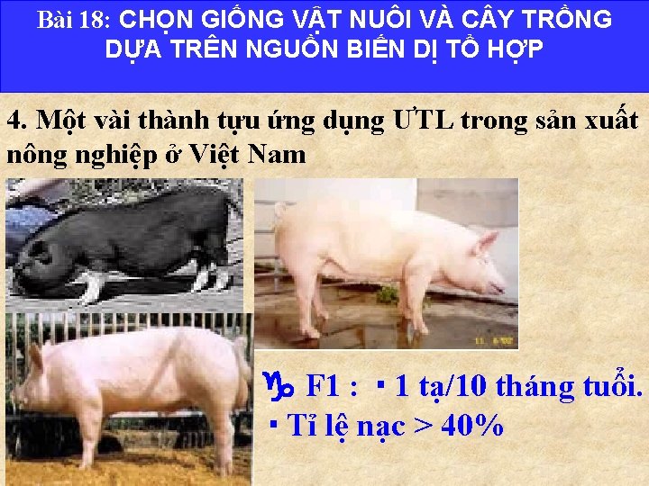 Bài 18: CHỌN GIỐNG VẬT NUÔI VÀ C Y TRỒNG DỰA TRÊN NGUỒN BIẾN