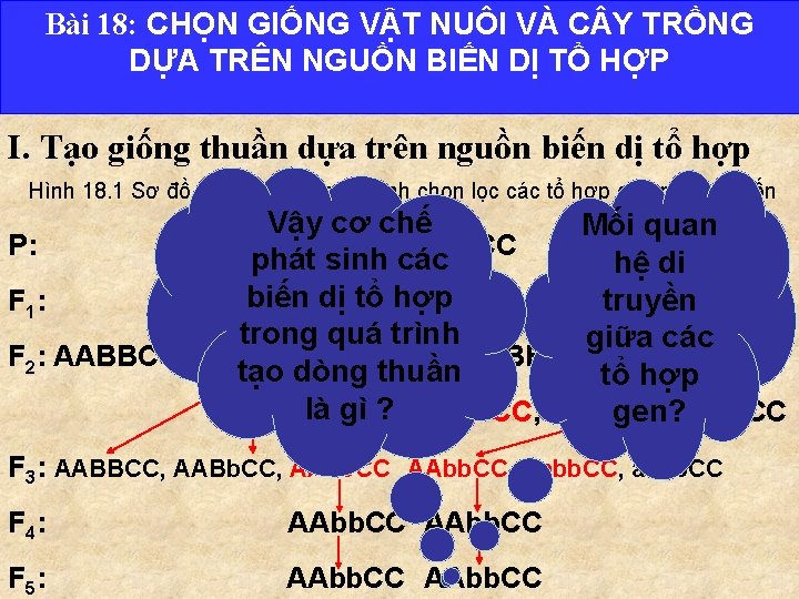 Bài 18: CHỌN GIỐNG VẬT NUÔI VÀ C Y TRỒNG DỰA TRÊN NGUỒN BIẾN