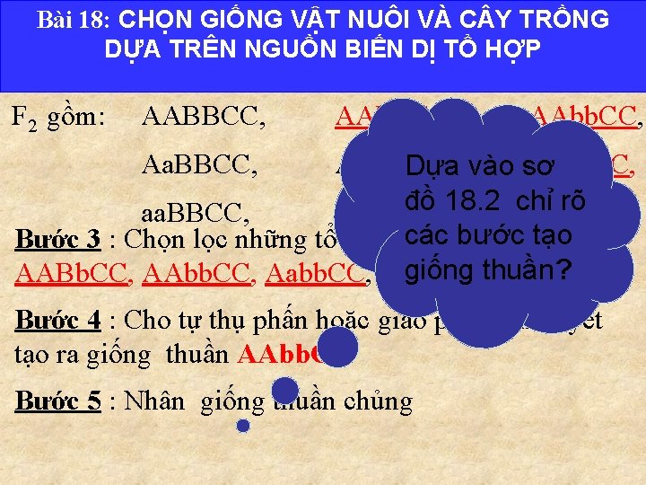 Bài 18: CHỌN GIỐNG VẬT NUÔI VÀ C Y TRỒNG DỰA TRÊN NGUỒN BIẾN