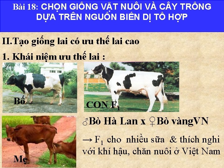 Bài 18: CHỌN GIỐNG VẬT NUÔI VÀ C Y TRỒNG DỰA TRÊN NGUỒN BIẾN