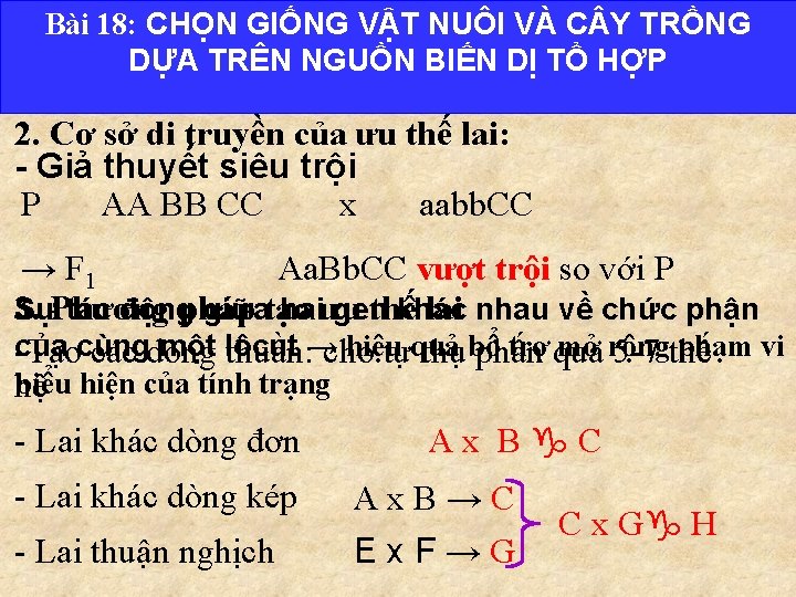 Bài 18: CHỌN GIỐNG VẬT NUÔI VÀ C Y TRỒNG DỰA TRÊN NGUỒN BIẾN