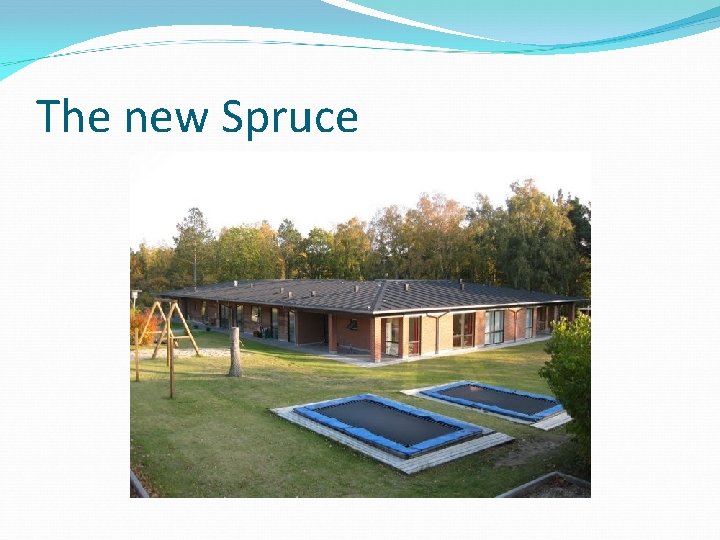 The new Spruce 