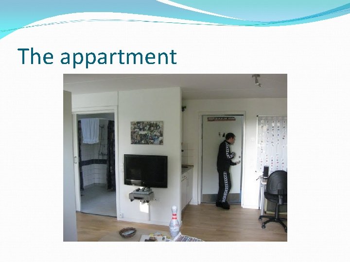 The appartment 