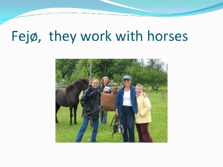 Fejø, they work with horses 