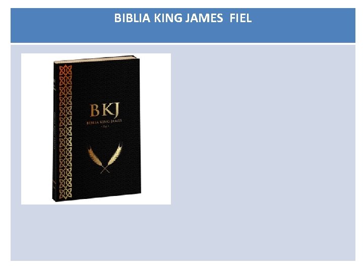 BIBLIA KING JAMES FIEL 