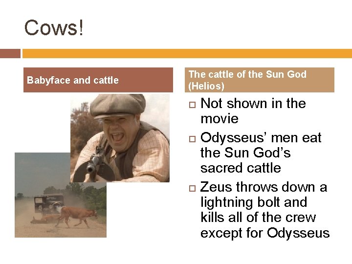 Cows! Babyface and cattle The cattle of the Sun God (Helios) Not shown in