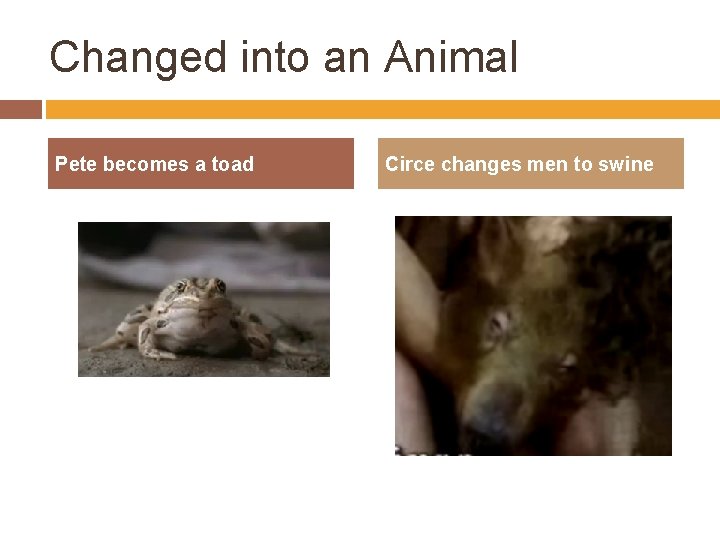 Changed into an Animal Pete becomes a toad Circe changes men to swine 