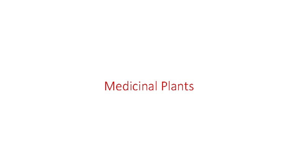 Medicinal Plants 