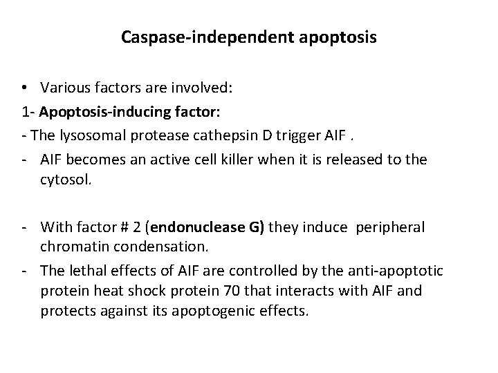 Caspase-independent apoptosis • Various factors are involved: 1 - Apoptosis-inducing factor: - The lysosomal