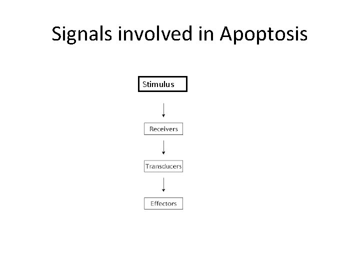 Signals involved in Apoptosis Stimulus 