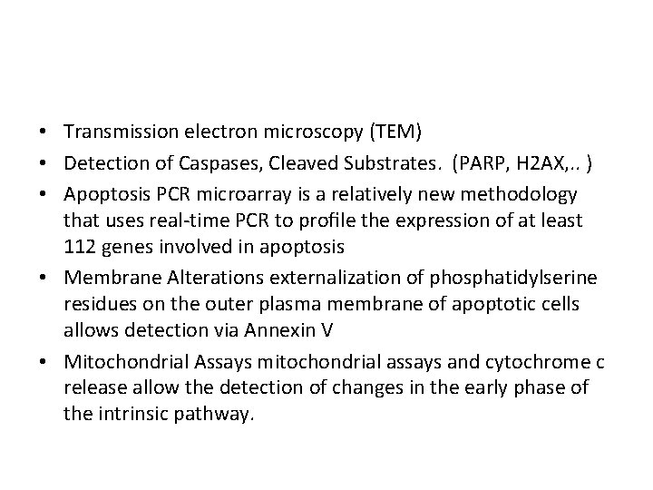  • Transmission electron microscopy (TEM) • Detection of Caspases, Cleaved Substrates. (PARP, H