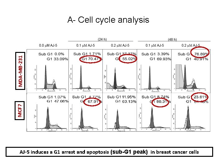 MCF 7 MDA-MB-231 A- Cell cycle analysis AJ-5 induces a G 1 arrest and