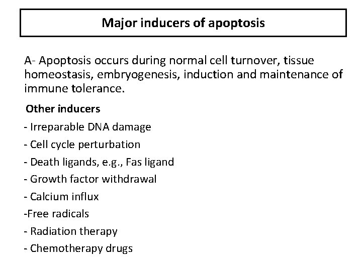 Major inducers of apoptosis A- Apoptosis occurs during normal cell turnover, tissue homeostasis, embryogenesis,