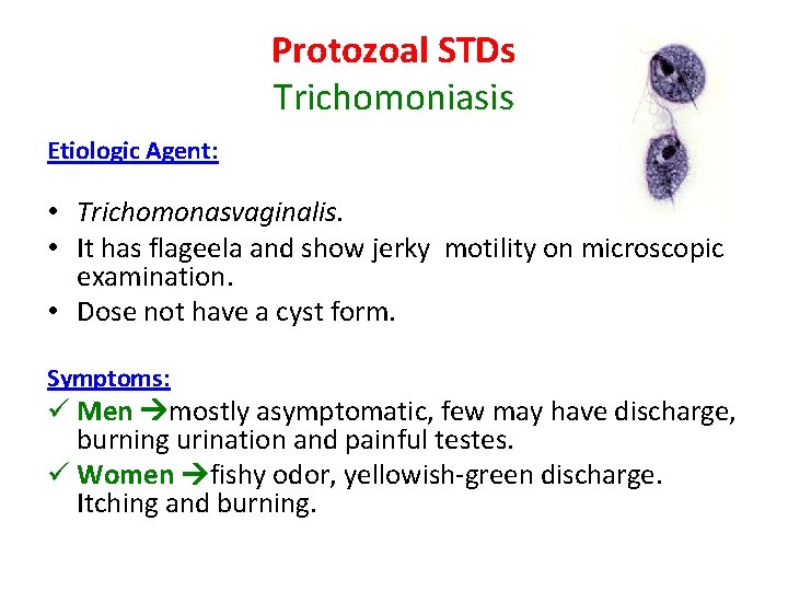 Protozoal STDs Trichomoniasis Etiologic Agent: • Trichomonasvaginalis. • It has flageela and show jerky