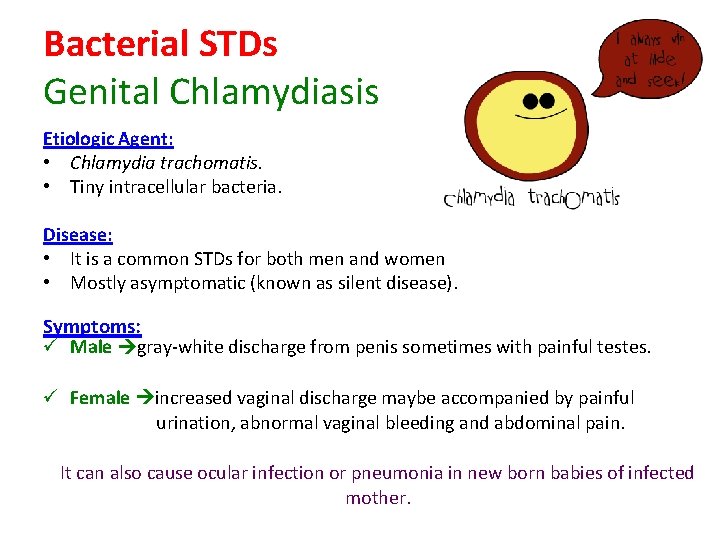 Bacterial STDs Genital Chlamydiasis Etiologic Agent: • Chlamydia trachomatis. • Tiny intracellular bacteria. Disease: