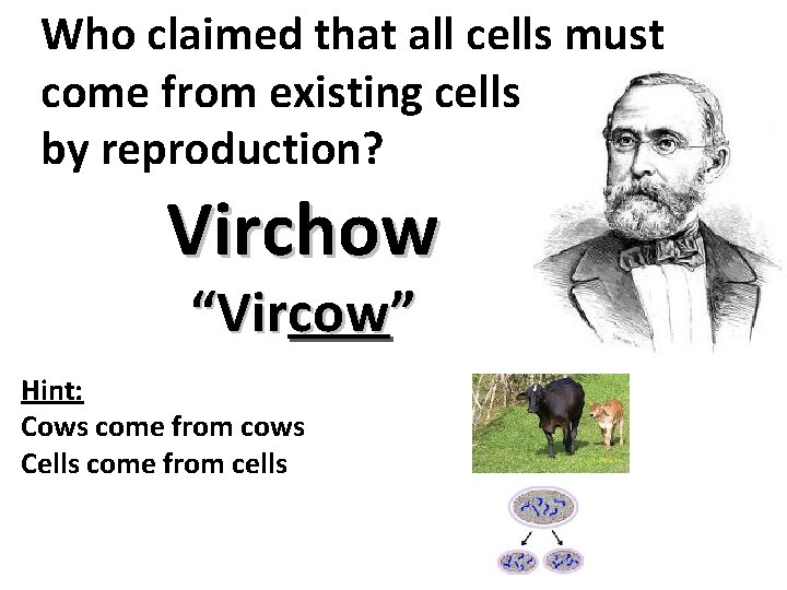 Who claimed that all cells must come from existing cells by reproduction? Virchow “Vircow”