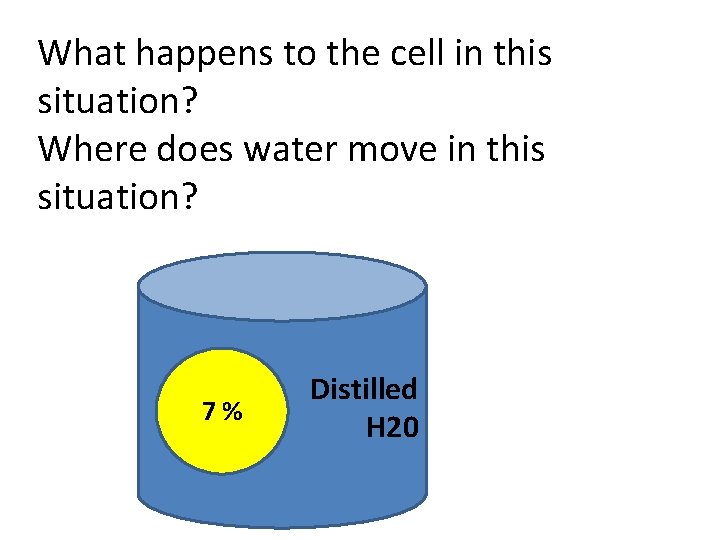 What happens to the cell in this situation? Where does water move in this