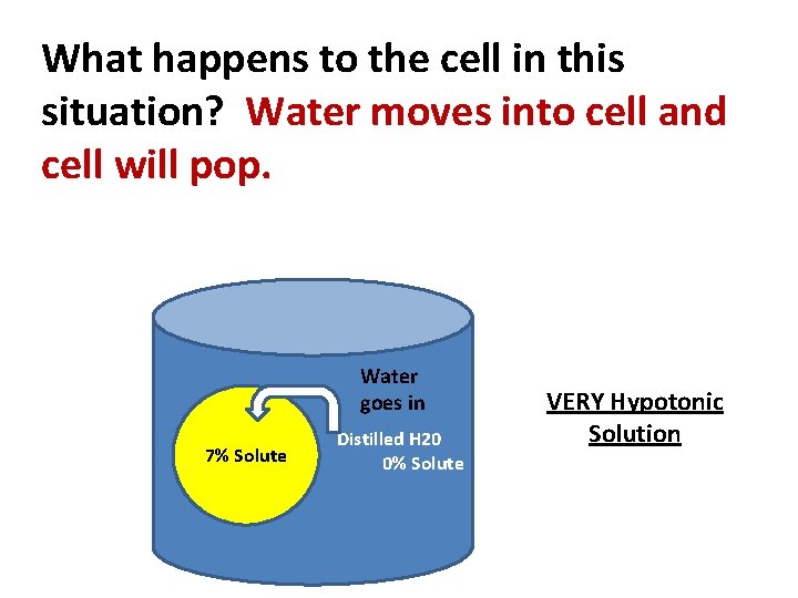 What happens to the cell in this situation? Water moves into cell and cell