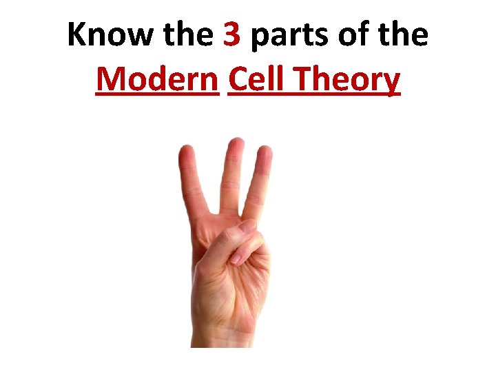 Know the 3 parts of the Modern Cell Theory 