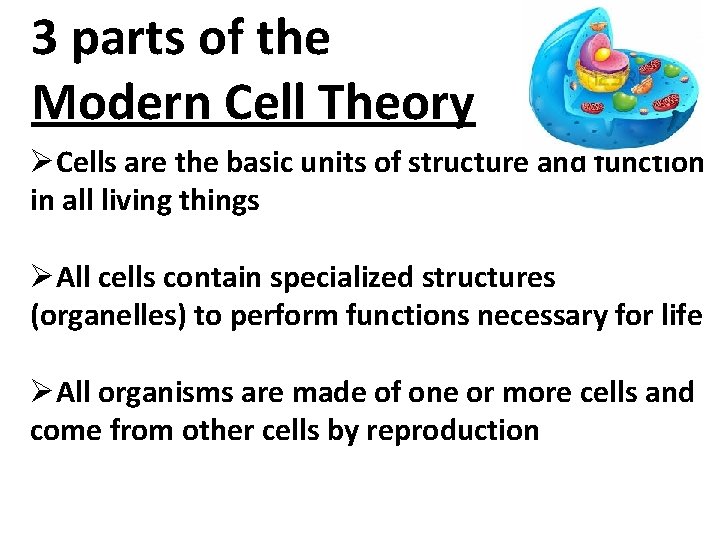 3 parts of the Modern Cell Theory ØCells are the basic units of structure