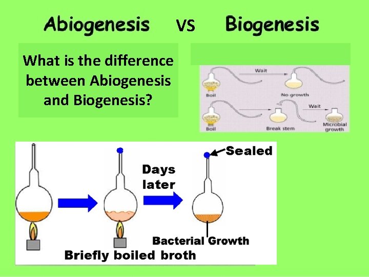 VS What is the difference between Abiogenesis and Biogenesis? 