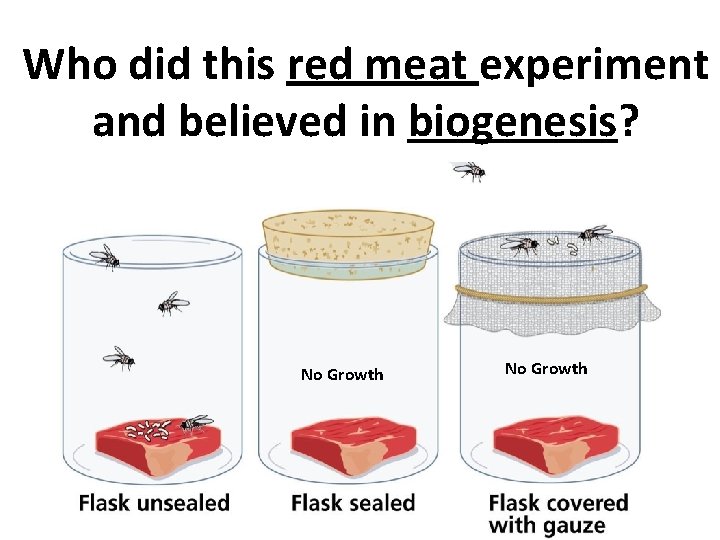 Who did this red meat experiment and believed in biogenesis? No Growth 