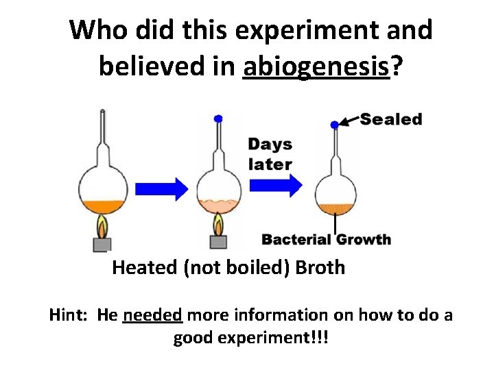 Who did this experiment and believed in abiogenesis? Heated (not boiled) Broth Hint: He