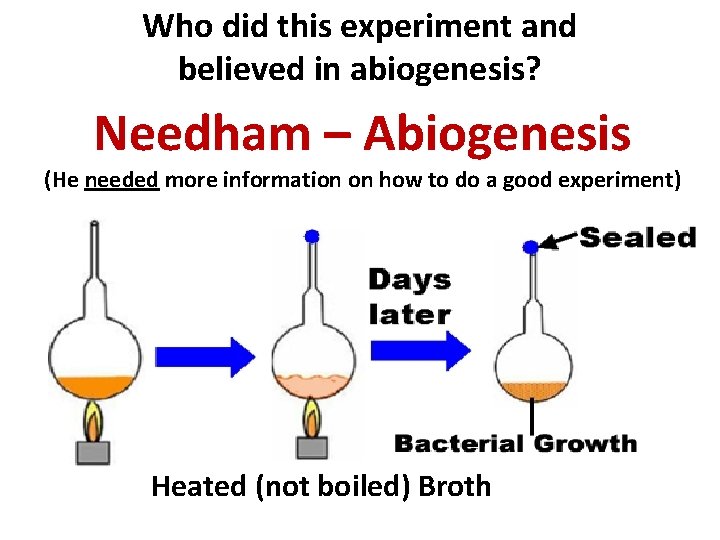 Who did this experiment and believed in abiogenesis? Needham – Abiogenesis (He needed more