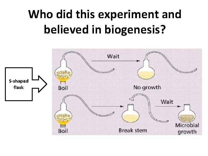 Who did this experiment and believed in biogenesis? S-shaped flask 