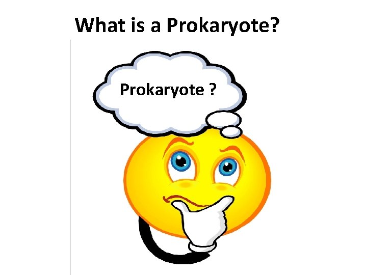 What is a Prokaryote? Prokaryote ? 