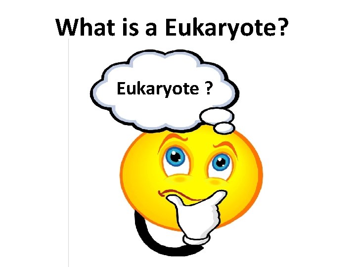 What is a Eukaryote? Eukaryote ? 