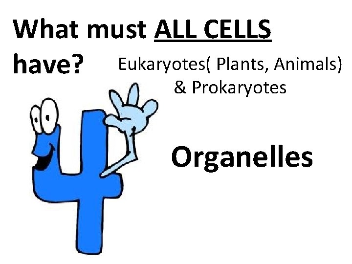 What must ALL CELLS have? Eukaryotes( Plants, Animals) & Prokaryotes Organelles 